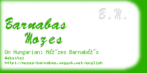 barnabas mozes business card